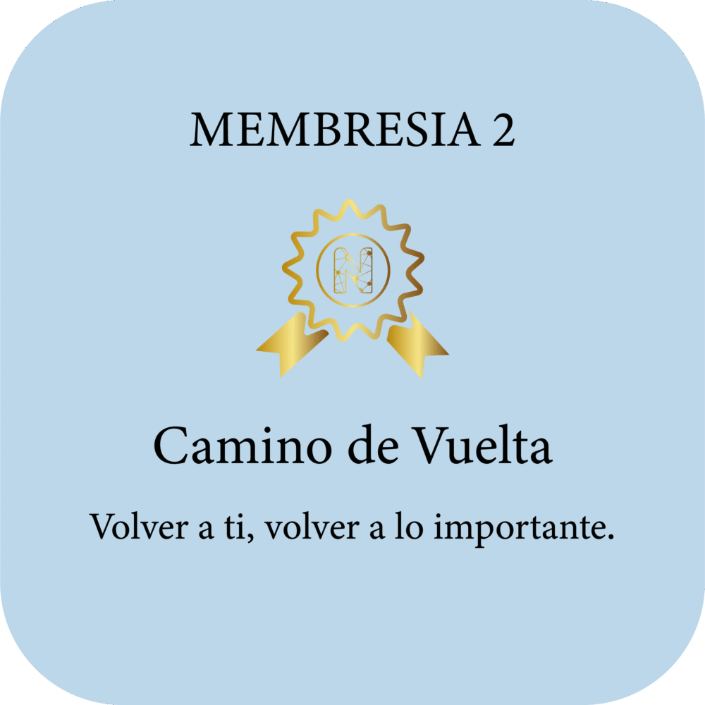 Camino de Vuelta
